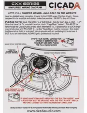 Cicada Audio