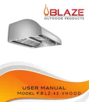 Blaze