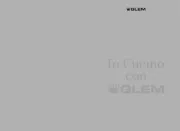 Glem Gas