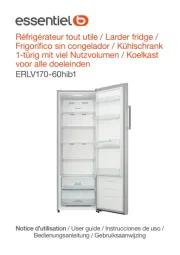 Essentiel B