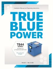 True Blue Power