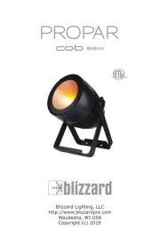 Blizzard Lighting