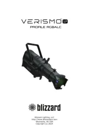 Blizzard Lighting