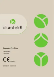 Blumfeldt