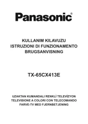 Panasonic