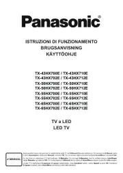 Panasonic
