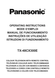 Panasonic