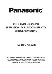 Panasonic