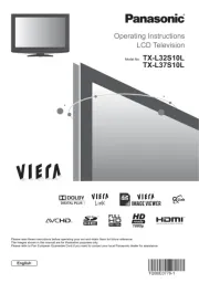 Panasonic