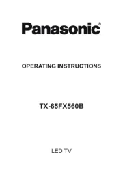 Panasonic