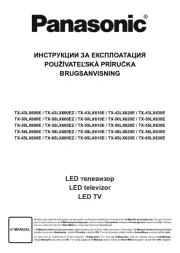 Panasonic
