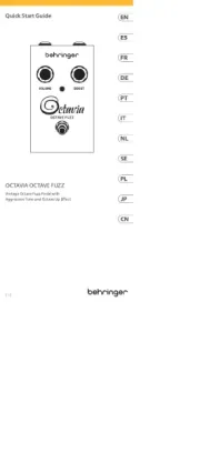 Behringer