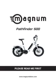 Magnum