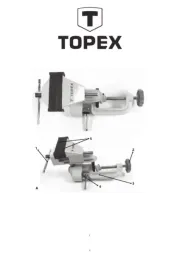 Topex