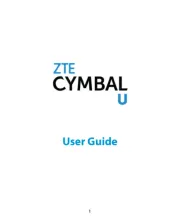 ZTE
