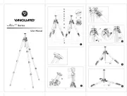Vanguard