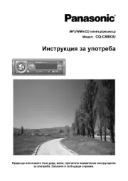 Panasonic