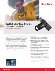 Sandisk
