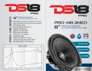 DS18