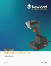 Newland