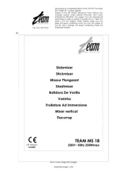Team