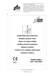 Team