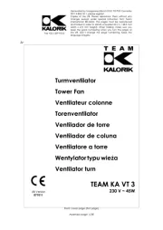 Team
