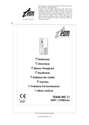 Team