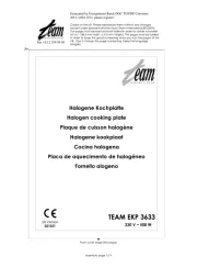 Team