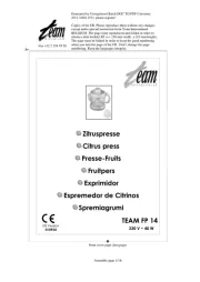 Team