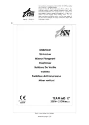 Team