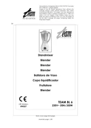 Team