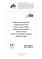 Team