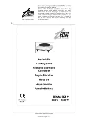 Team