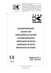 Team