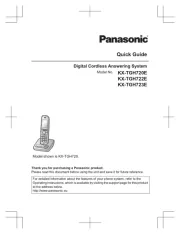 Panasonic
