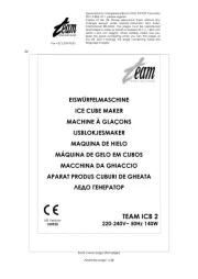 Team