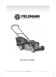 Fieldmann