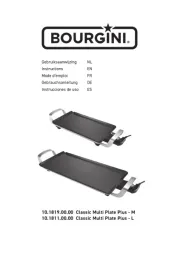 Bourgini