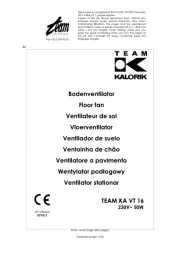 Team