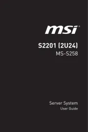 MSI