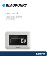 Blaupunkt