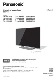 Panasonic
