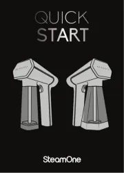 SteamOne