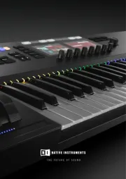 Native Instruments