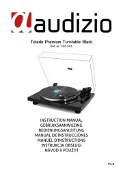 Audizio