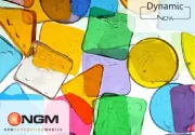 NGM-Mobile