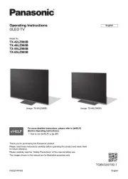 Panasonic