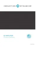 Induction Dynamics