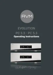 AVM